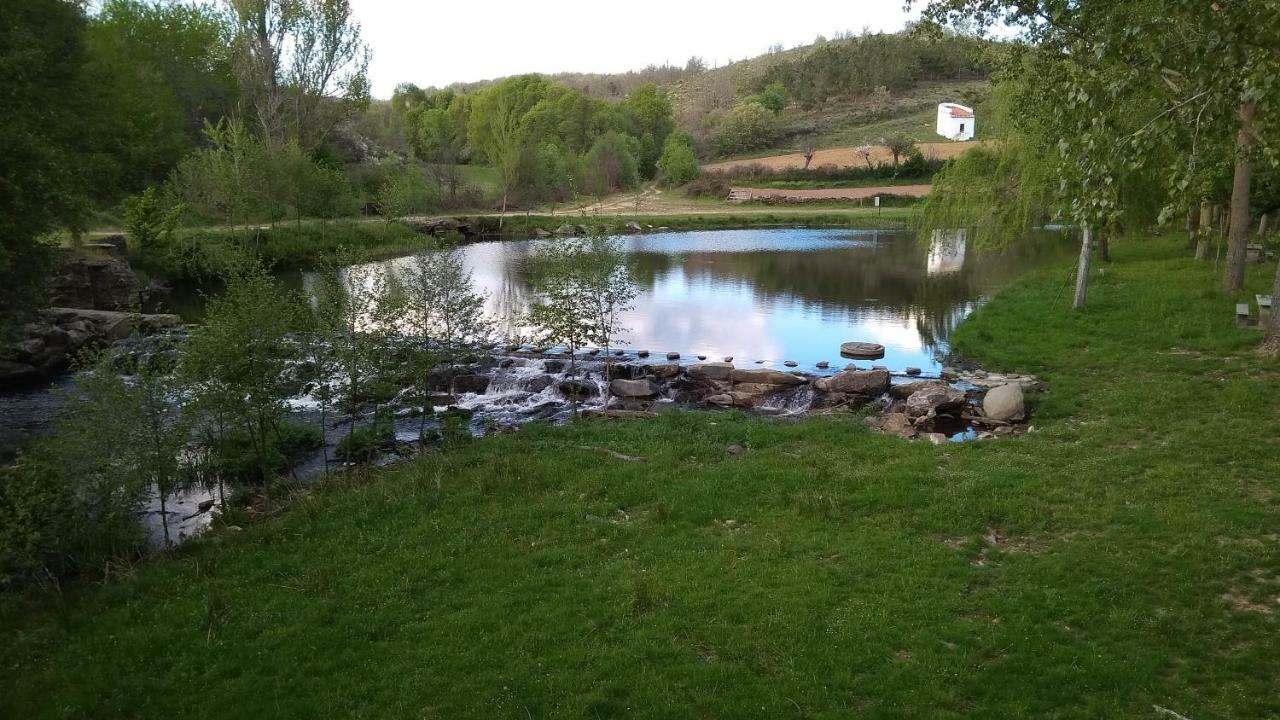 Serapicos House Bragança Eksteriør billede